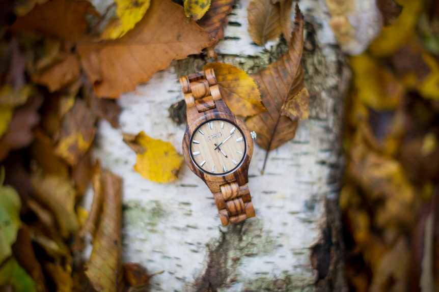 Wood watches by JORD