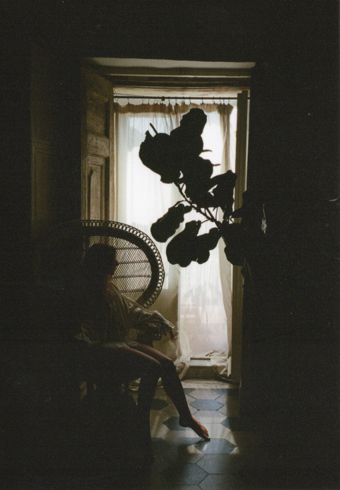 appareil photo argentique 
